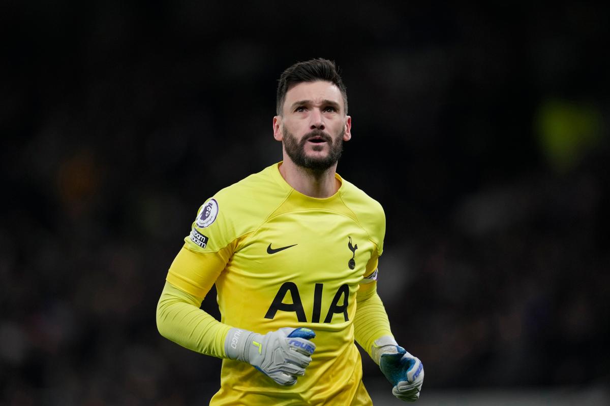 Lloris pensieroso 